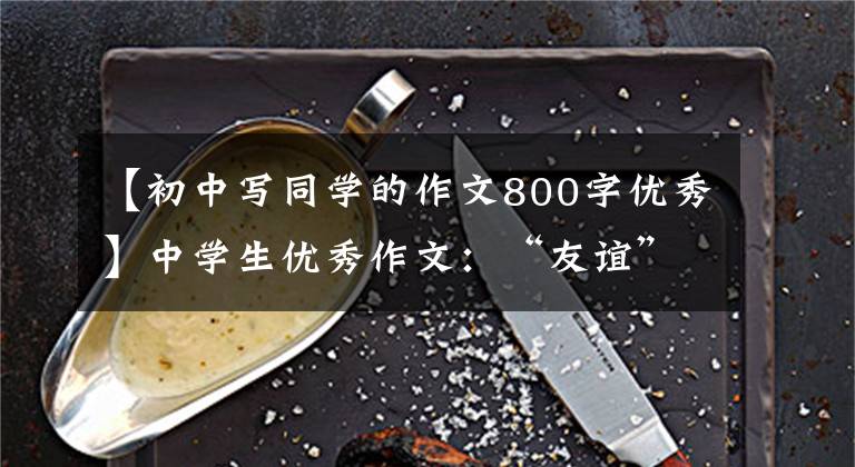 【初中写同学的作文800字优秀】中学生优秀作文:“友谊”主题作文