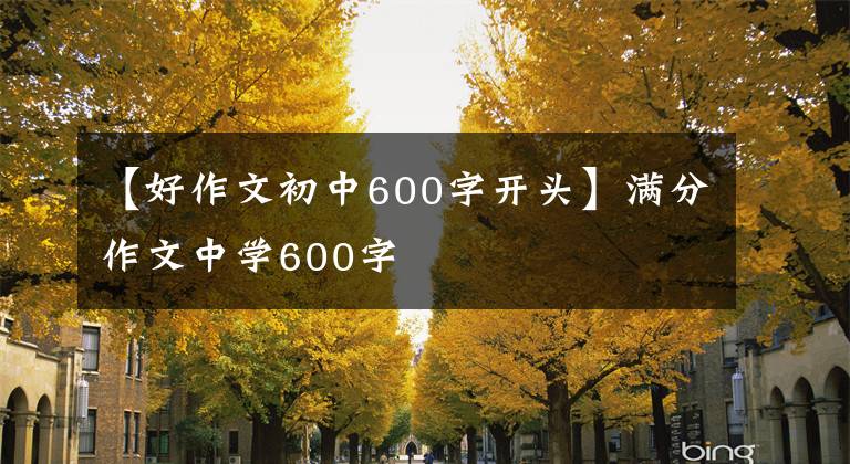 【好作文初中600字开头】满分作文中学600字