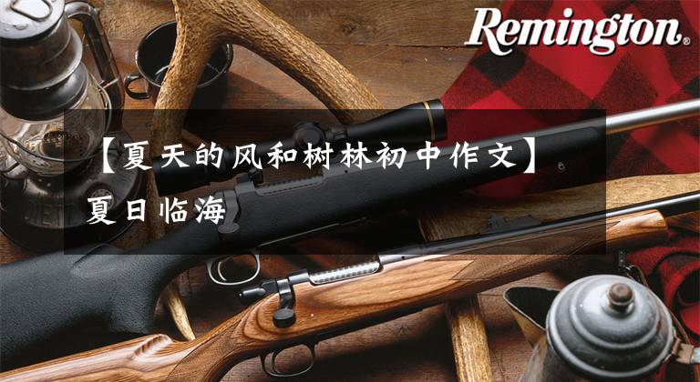 【夏天的风和树林初中作文】夏日临海