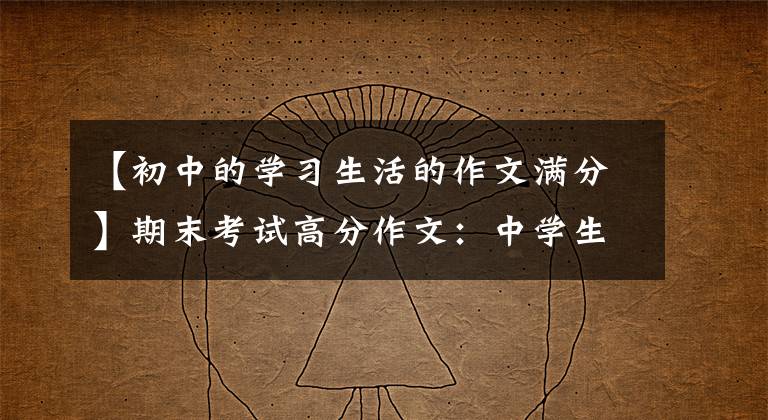 【初中的学习生活的作文满分】期末考试高分作文:中学生活的酸甜苦辣