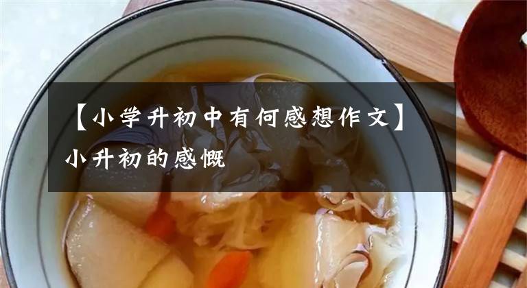 【小学升初中有何感想作文】小升初的感慨