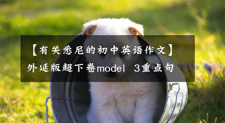 【有关悉尼的初中英语作文】外延版超下卷model  3重点句、句型、语法、作文都用完了。