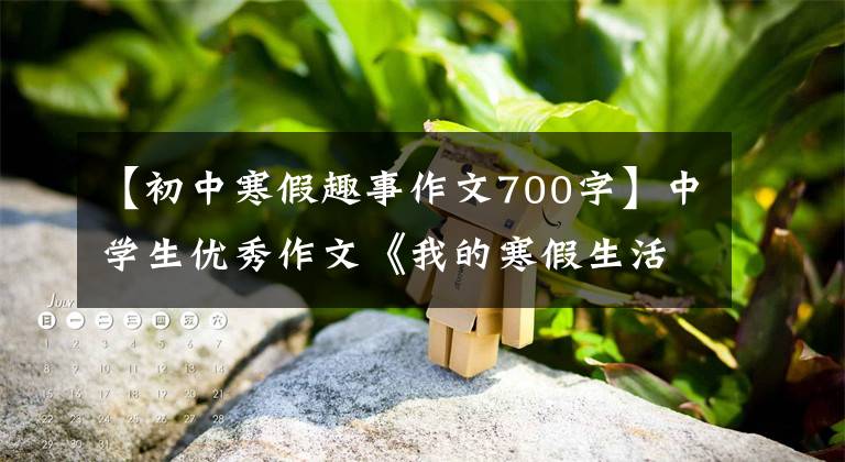 【初中寒假趣事作文700字】中学生优秀作文《我的寒假生活》 9篇