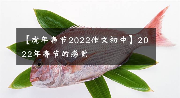 【虎年春节2022作文初中】2022年春节的感觉