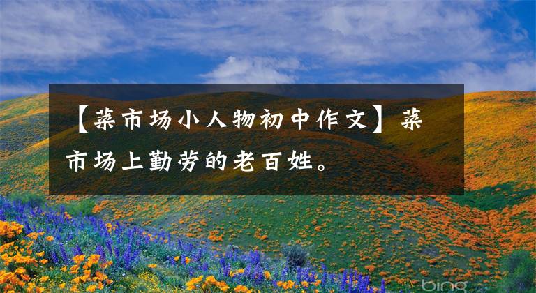 【菜市场小人物初中作文】菜市场上勤劳的老百姓。