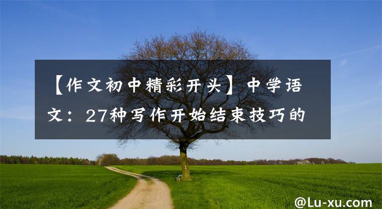 【作文初中精彩开头】中学语文:27种写作开始结束技巧的典型例子,参考价值很高
