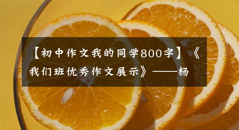 【初中作文我的同学800字】《我们班优秀作文展示》——杨家文《我的好朋友》 (5)