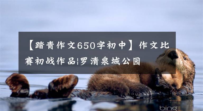 【踏青作文650字初中】作文比赛初战作品|罗清泉城公园