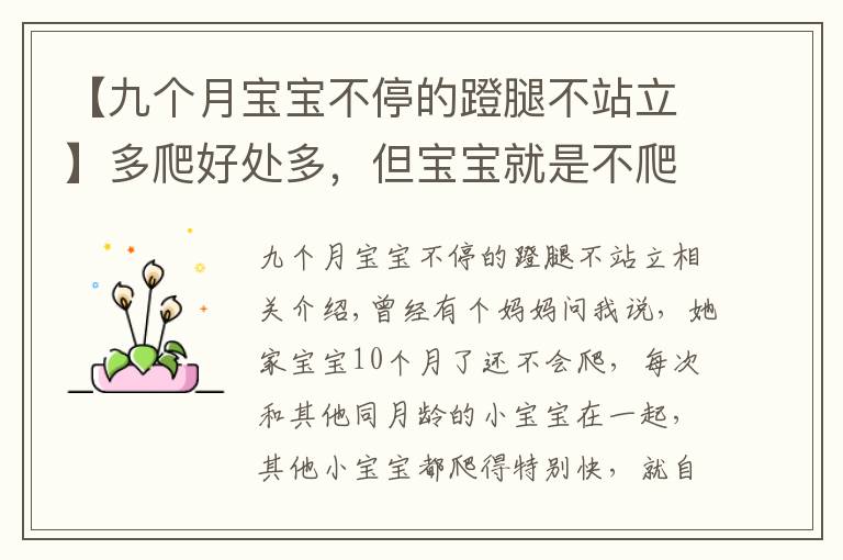 【九个月宝宝不停的蹬腿不站立】多爬好处多,但宝宝就是不爬怎么办?要尊重宝宝的个性发展