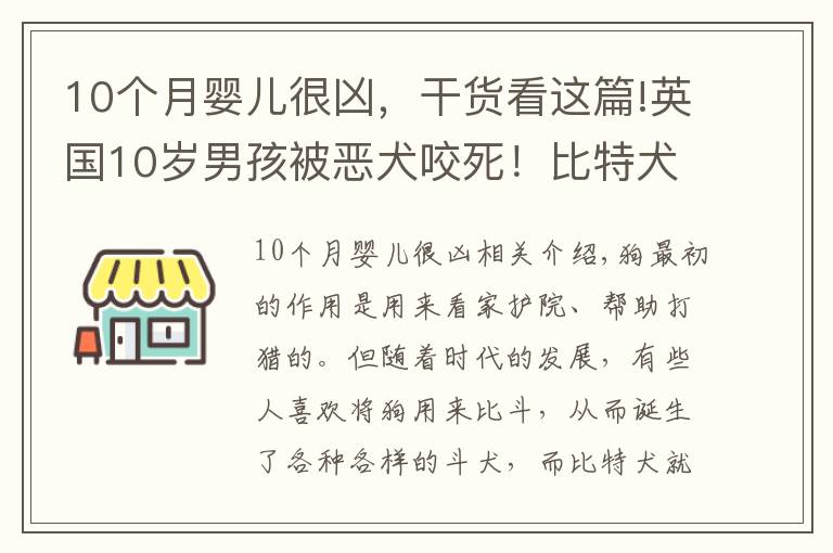 10个月婴儿很凶,干货看这篇!英国10岁男孩被恶犬咬死!比特犬有多危险?被咬了怎么办?