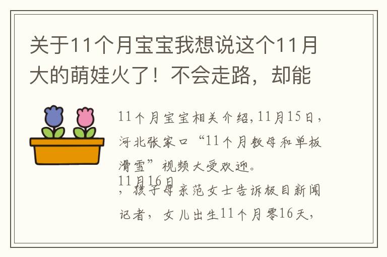 关于11个月宝宝我想说这个11月大的萌娃火了!不会走路,却能独立滑雪