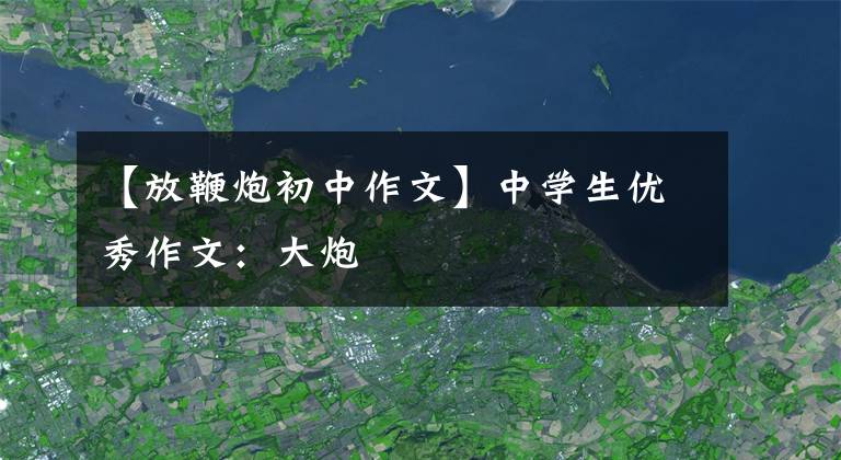 【放鞭炮初中作文】中学生优秀作文:大炮