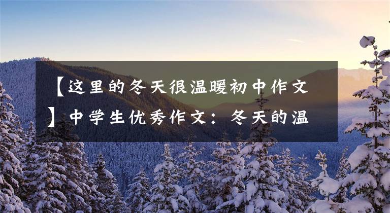 【这里的冬天很温暖初中作文】中学生优秀作文:冬天的温暖