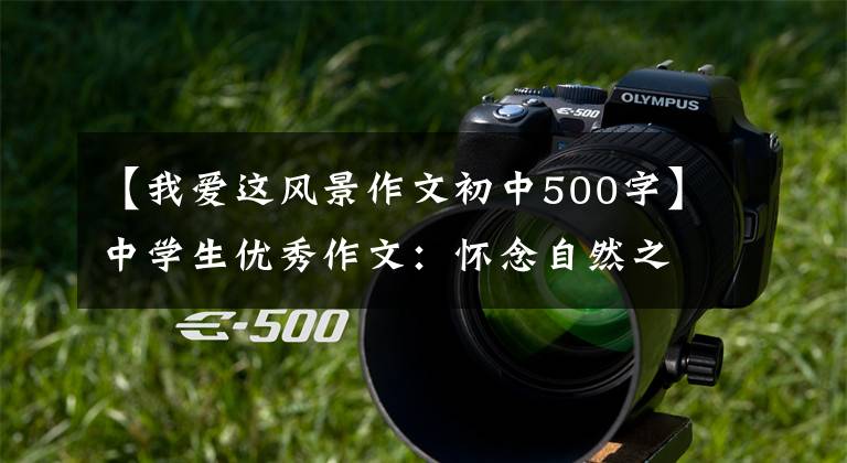 【我爱这风景作文初中500字】中学生优秀作文:怀念自然之美