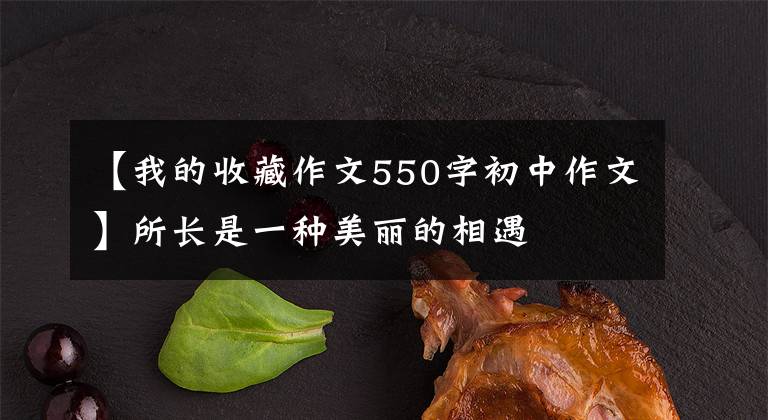 【我的收藏作文550字初中作文】所长是一种美丽的相遇