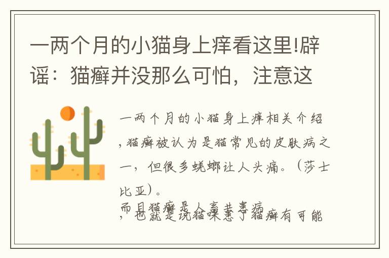 一两个月的小猫身上痒看这里!辟谣:猫癣并没那么可怕,注意这些就很好治愈,铲屎官别吓唬自己