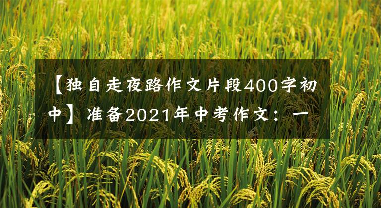 【独自走夜路作文片段400字初中】准备2021年中考作文:一个人走夜路