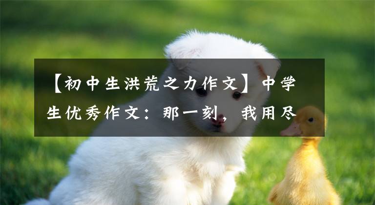 【初中生洪荒之力作文】中学生优秀作文:那一刻,我用尽了洪荒的力量