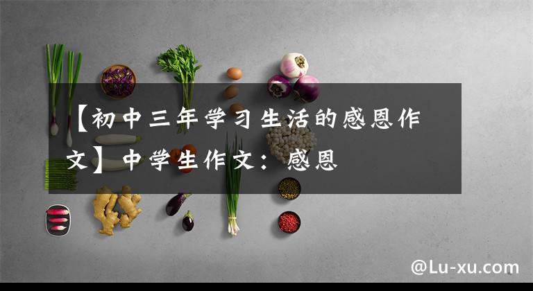 【初中三年学习生活的感恩作文】中学生作文：感恩