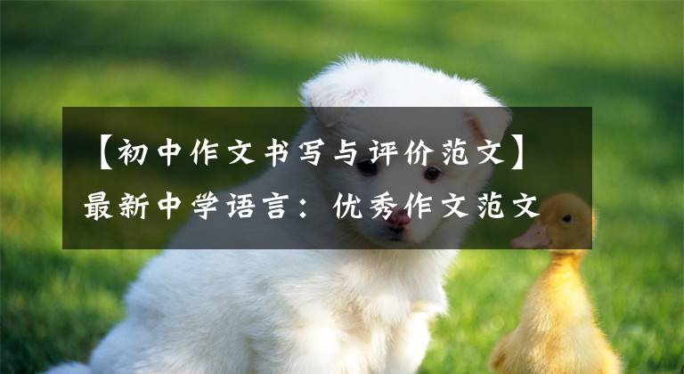 【初中作文书写与评价范文】最新中学语言:优秀作文范文精选20篇!包括评论,给孩子上一课