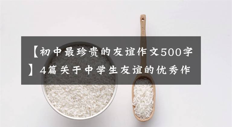 【初中最珍贵的友谊作文500字】4篇关于中学生友谊的优秀作文