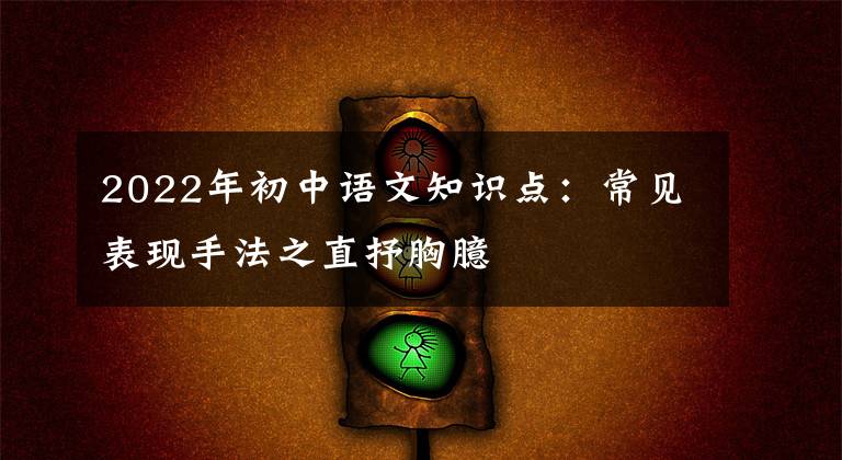 2022年初中语文知识点:常见表现手法之直抒胸臆