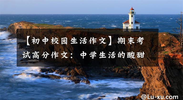 【初中校园生活作文】期末考试高分作文:中学生活的酸甜苦辣