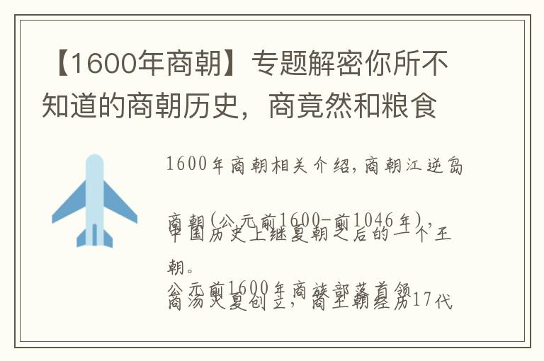 【1600年商朝】专题解密你所不知道的商朝历史,商竟然和粮食有着不解之缘