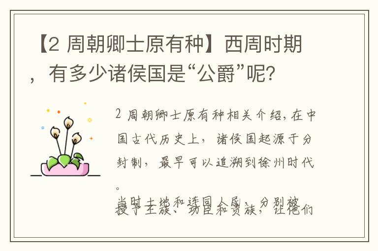 【2 周朝卿士原有种】西周时期,有多少诸侯国是“公爵”呢?
