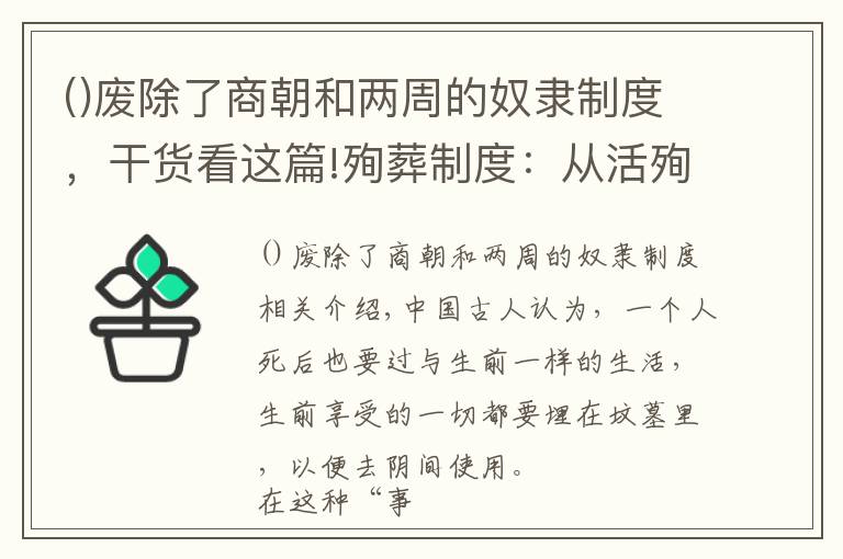 废除了商朝和两周的奴隶制度,干货看这篇!殉葬制度:从活殉到明器俑