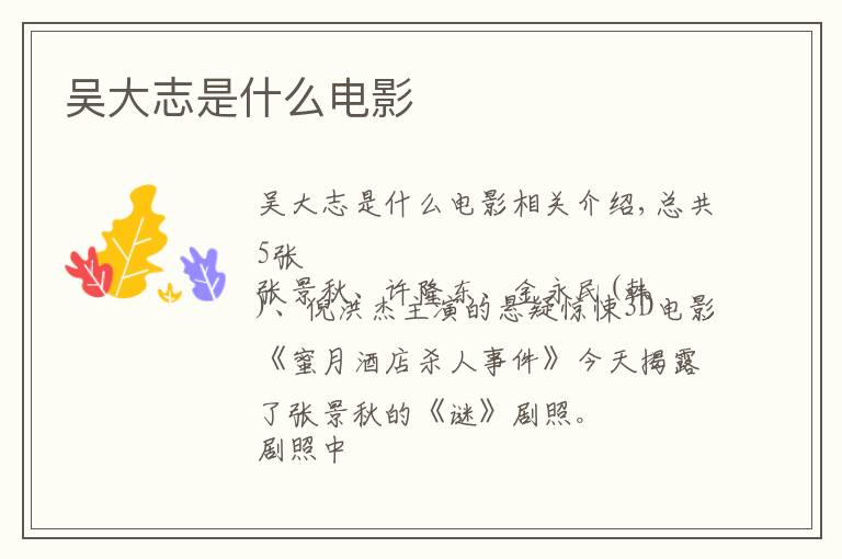 吴大志是什么电影
