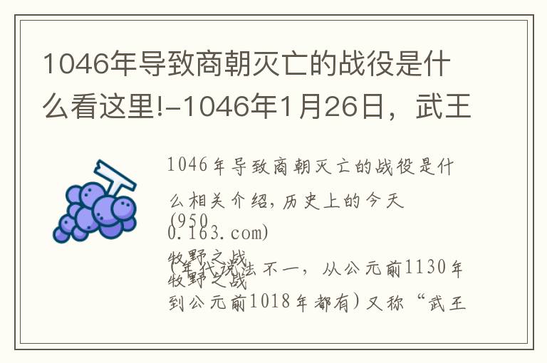 1046年导致商朝灭亡的战役是什么看这里!-1046年1月26日，武王伐纣