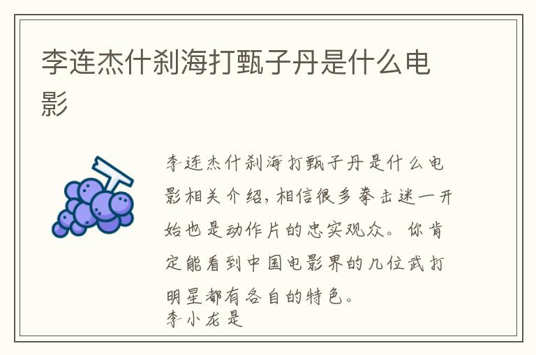 李连杰什刹海打甄子丹是什么电影