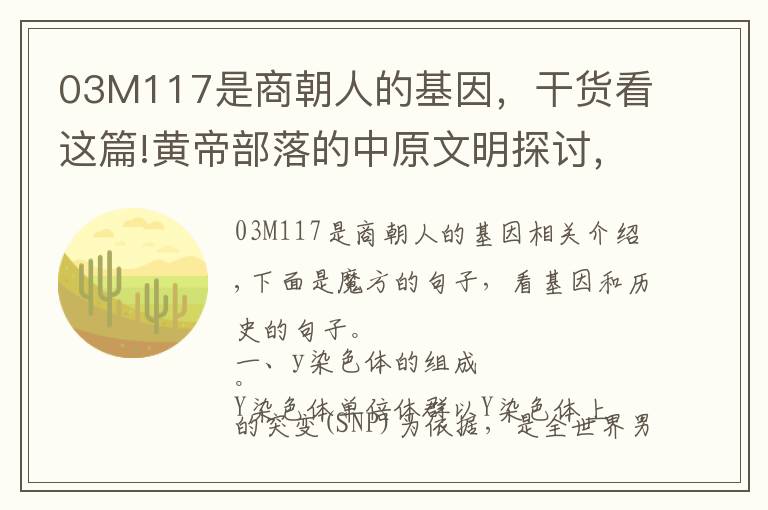 03M117是商朝人的基因，干货看这篇!黄帝部落的中原文明探讨，寻找黄金家族