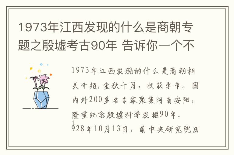1973年江西发现的什么是商朝专题之殷墟考古90年 告诉你一个不知道的殷墟