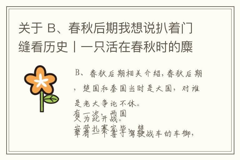 关于 B、春秋后期我想说扒着门缝看历史丨一只活在春秋时的麋鹿会遭遇什么?