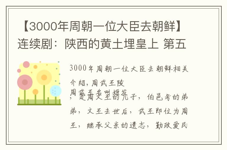 【3000年周朝一位大臣去朝鲜】连续剧:陕西的黄土埋皇上 第五集 周武王陵