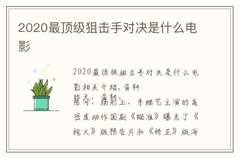 2020最顶级狙击手对决是什么电影