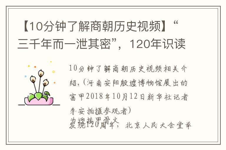 【10分钟了解商朝历史视频】“三千年而一泄其密”,120年识读三分之一:甲骨文,中华文明之光