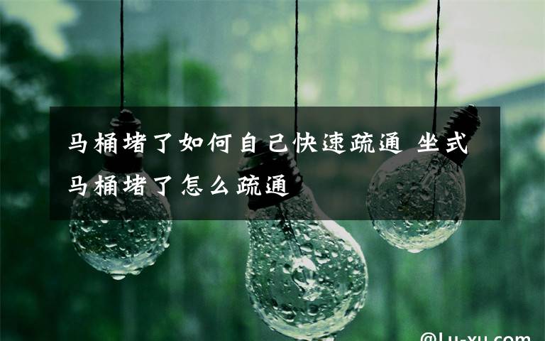 马桶堵了如何自己快速疏通 坐式马桶堵了怎么疏通