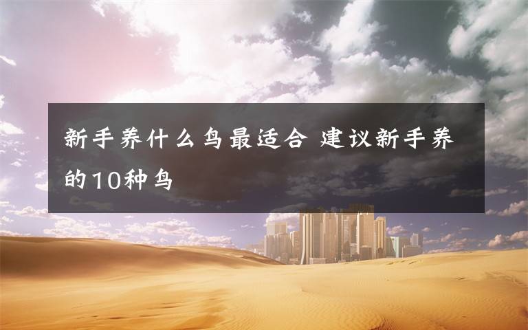 新手养什么鸟最适合 建议新手养的10种鸟