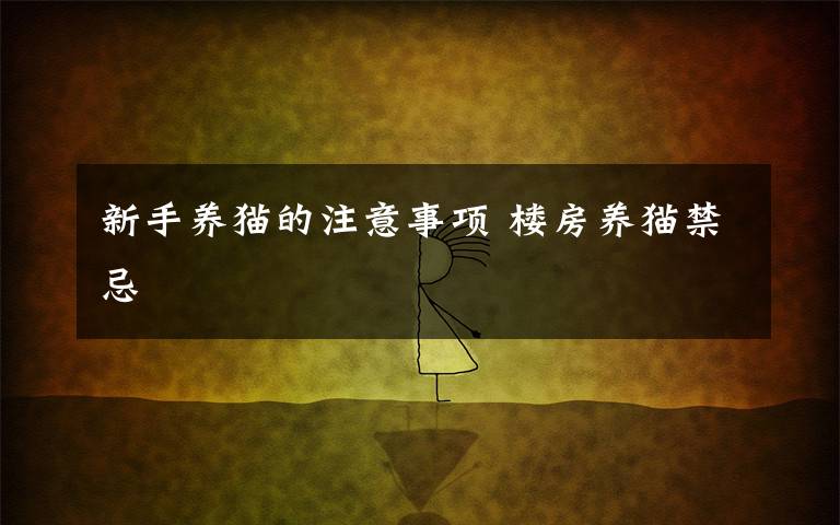 新手养猫的注意事项 楼房养猫禁忌