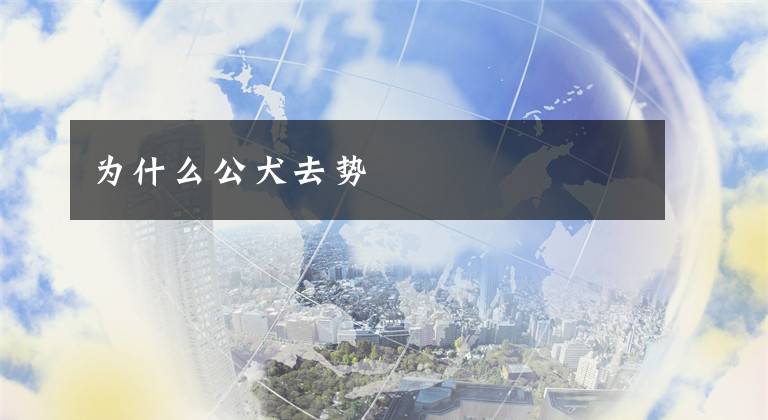 为什么公犬去势