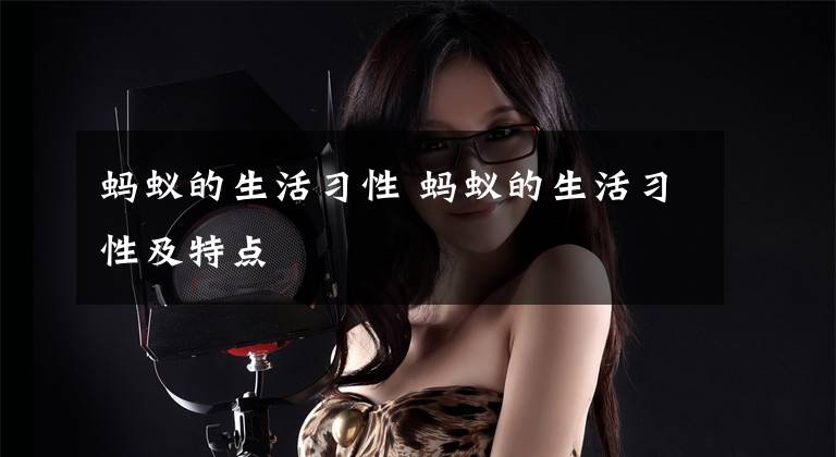 蚂蚁的生活习性 蚂蚁的生活习性及特点