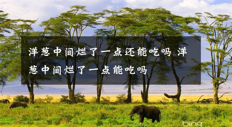 洋葱中间烂了一点还能吃吗 洋葱中间烂了一点能吃吗