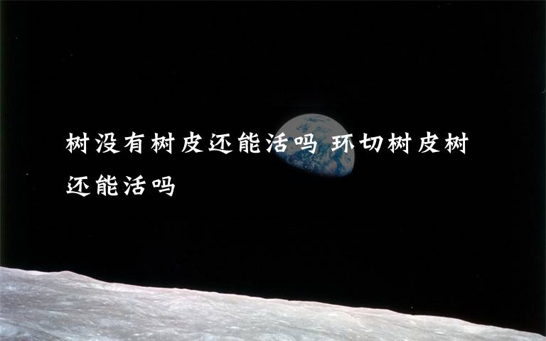 树没有树皮还能活吗 环切树皮树还能活吗