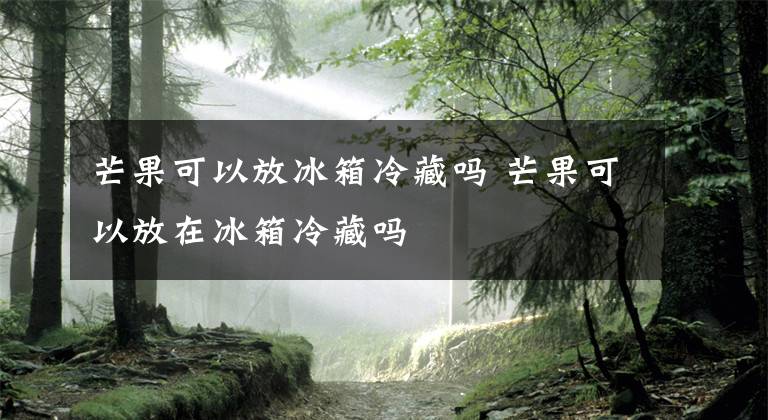 芒果可以放冰箱冷藏吗 芒果可以放在冰箱冷藏吗