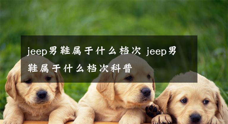 jeep男鞋属于什么档次 jeep男鞋属于什么档次科普
