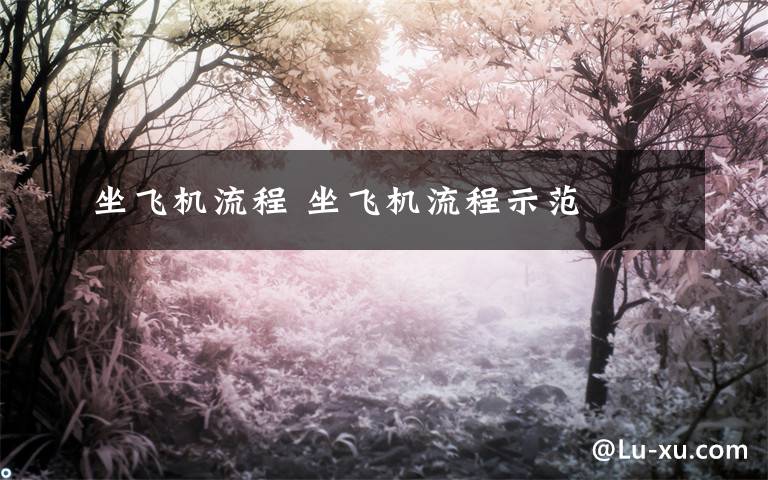 坐飞机流程 坐飞机流程示范