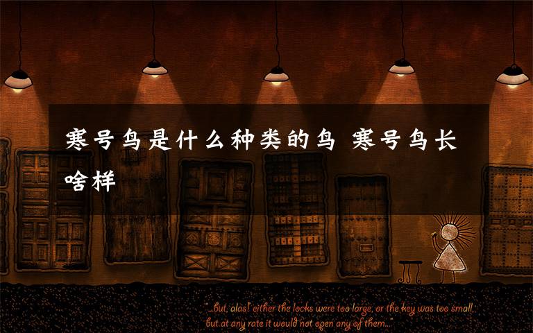 寒号鸟是什么种类的鸟 寒号鸟长啥样